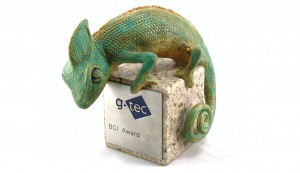 International-Annual-BCI-Award-by-gtec
